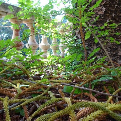 JulongW's profile picture. studying in Spain, learning Spanish and teaching English