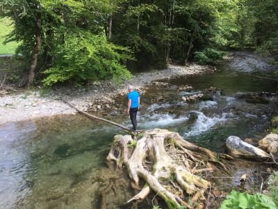 HodgkinsonDavi2's profile picture. Emergency Physician, Sports Medicine, ITFC Doc, Sports