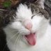 pikiti poo (@johnsmedly) Twitter profile photo pikiti poo (@johnsmedly) Twitter profile photo