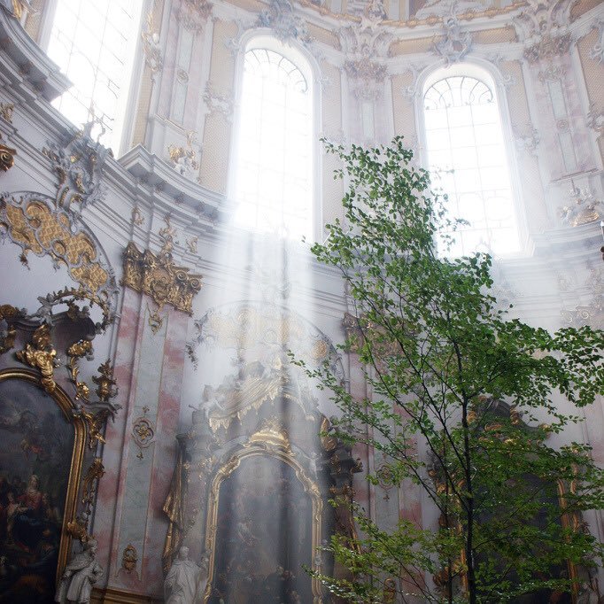 saraalmuhairi10's profile picture. يارب حُسن البقاء و حُسن الرحيل و طيب الأثر