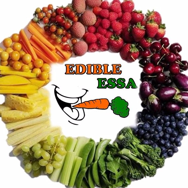 Edible Essa is a conversation. We are building connections between local schools, organizations, and farmers to promote access to local food!