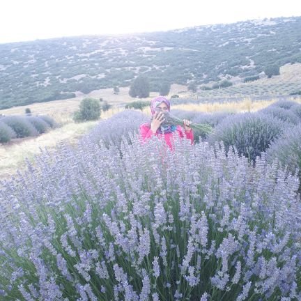 avaz_dudu's profile picture. Gündem Siyaset Türkiye Siyaseti