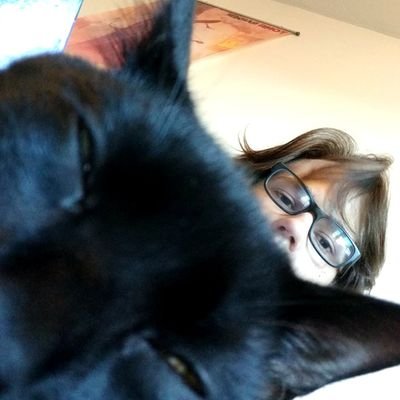 nicelyprovedben's profile picture. Gonna tweet at least one picture of my cats every day probably. He/him