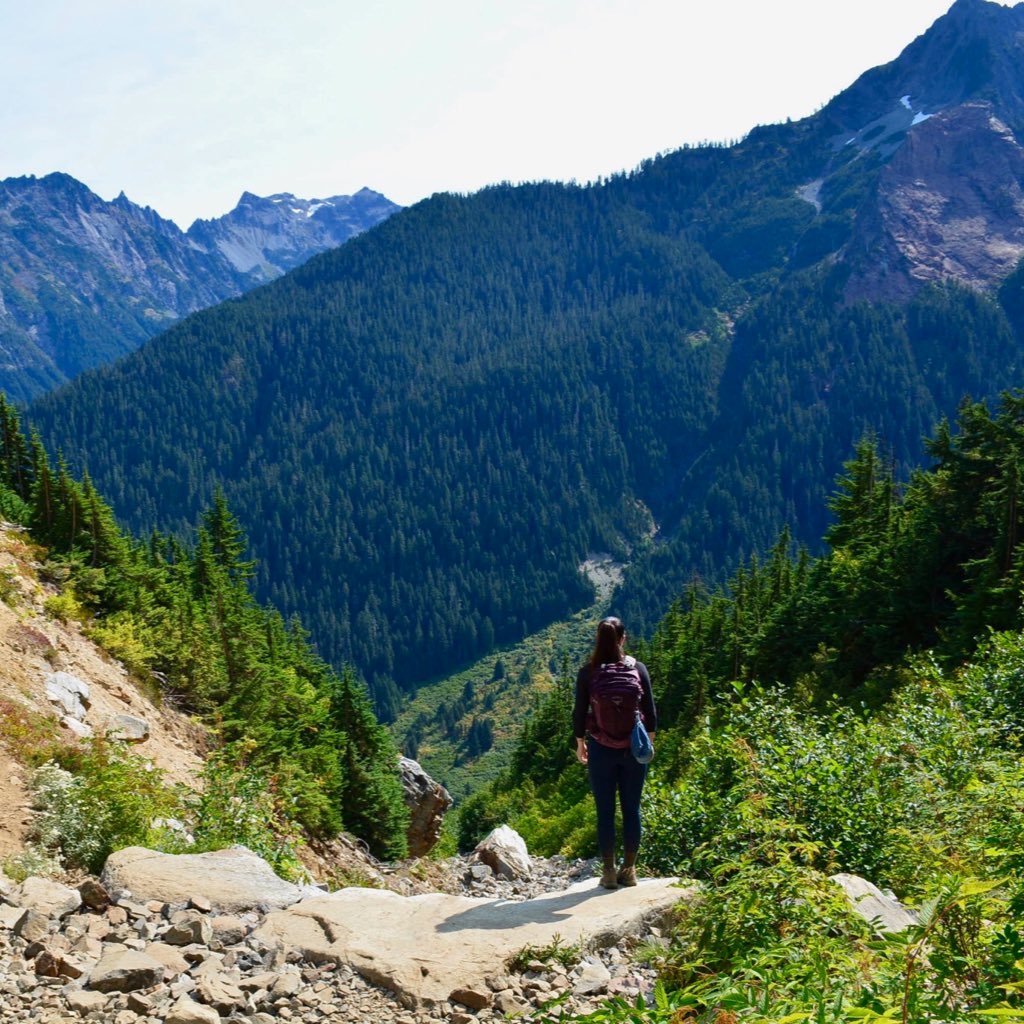 HollyFaccenda's profile picture. Cats, powerlifting, and avoiding social interaction