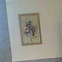 senecosolutions's profile picture. 