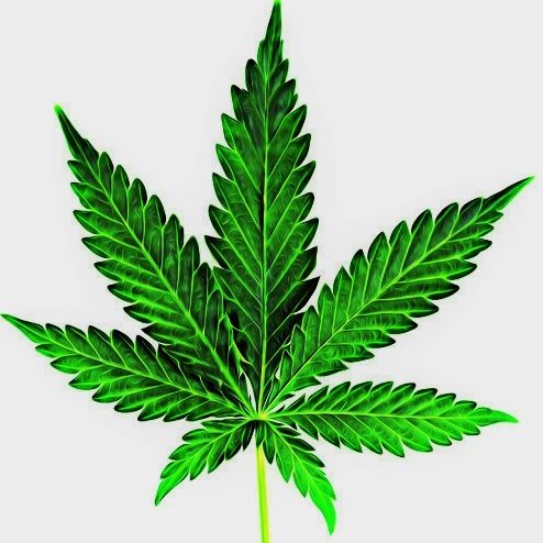Industry news & small business loans for the cannabis industry. Serving USA and Canada 818 634 0486 mareeshawn@hotmail.com Shawn Goth 
#medicalmarijuana