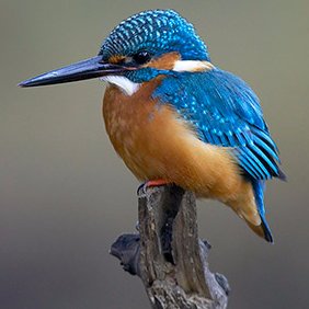 Historiador. Viajero y fotógrafo empedernido. Aprendiz de la vida. Inquieto cultural y profesional.