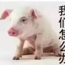 jeremy20ll's profile picture. 