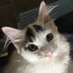 Scott (@scrootcher) Twitter profile photo Scott (@scrootcher) Twitter profile photo