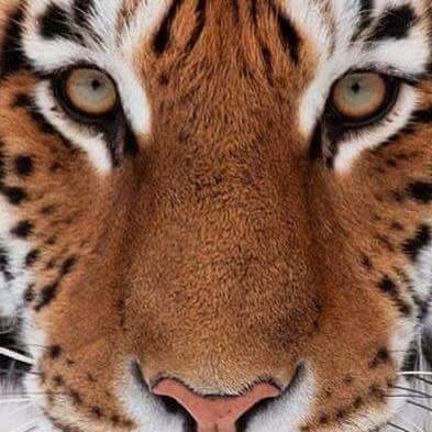 JuanGal56759067's profile picture. 