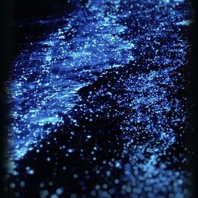 AlfredoMariotti's profile picture. ...