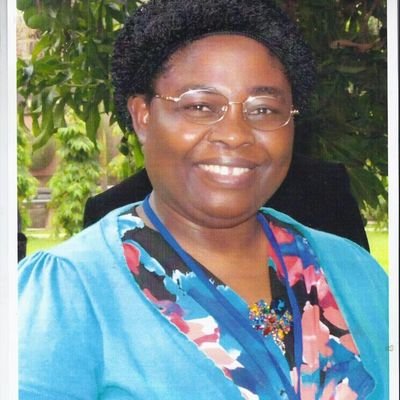 bchisenga's profile picture. Africa Field Director. Design Outreach.USA. Health Practitioner with  PhD in  Water and Sanitation Sector. Trainer Liverpool Tropical Medicine Obstetric Care