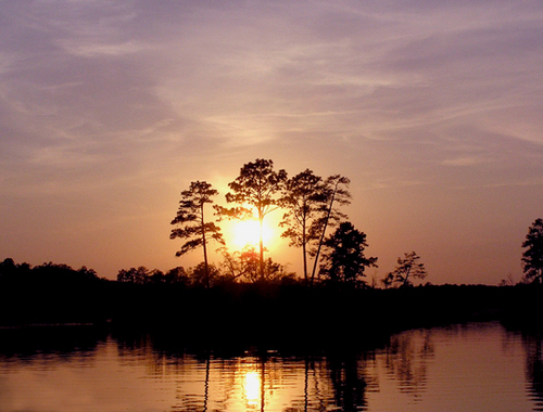 Lake Martin HOBOs