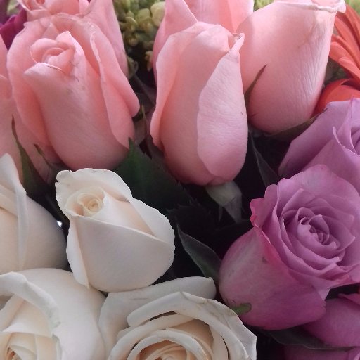 sgaliciarojon's profile picture. Escritor y periodista