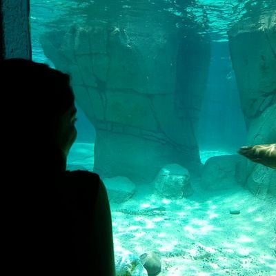 MariHernandez19's profile picture. 