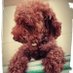 blesszhan (@blesszhan) Twitter profile photo blesszhan (@blesszhan) Twitter profile photo