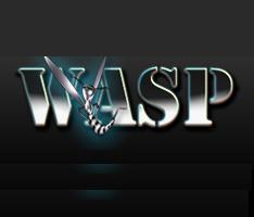 ___WasP___'s profile picture. 