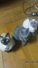 rOcKwyCDzrRjMf9's profile picture. 