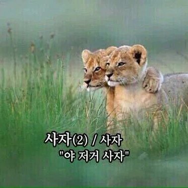 iwanturdata's profile picture. 