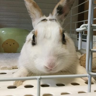 固定ツイ注～目！9月終了後垢移動さんのプロフィール画像