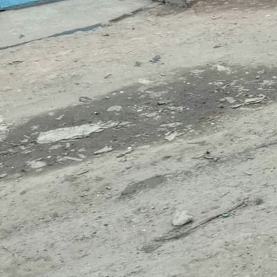 prowriter123's profile picture. 