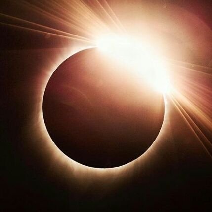 shreenathwani's profile picture. Mission Statement: To become a great human.