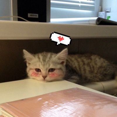 Escarlatoss's profile picture. 