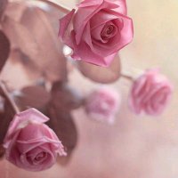 ورد /كود نون /THH237 (@albilsan5) 's Twitter Profile