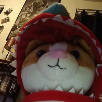 Mrpaws On Twitter Blopp Bloop I Like Inquisitormaster - roblox inquisitormaster plush