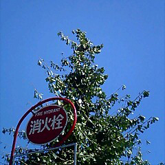 redisemag's profile picture. 【name】Yusaku Yamamoto
【works】ユーゲーUG(UsedGames)→ゲームサイドGAMESIDE→ゲーム・ジーンGAMEgene→税理士助手→シティコネクションCityConnection

何事も本気で大切に全力でありたい。