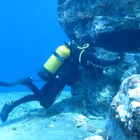 Rodrigo Alarcon (@rodrigoalar777) 's Twitter Profile