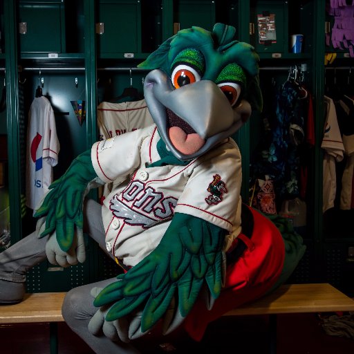 Official mascot of the @greatlakesloons. For inquiries email: loue@loons.com. 😃 #NestLevelFun