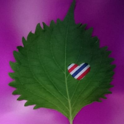 shiso1432m's profile picture. ♡宮野真守♡L＆P会員//30↑🦷
寒色💙💜ぬいを愛でること🧸
日常の雑多◎
マモの存在が生きる糧👑話しかけてもらえると喜びます✧*｡✧*｡
next:マモライV!仙台2日目