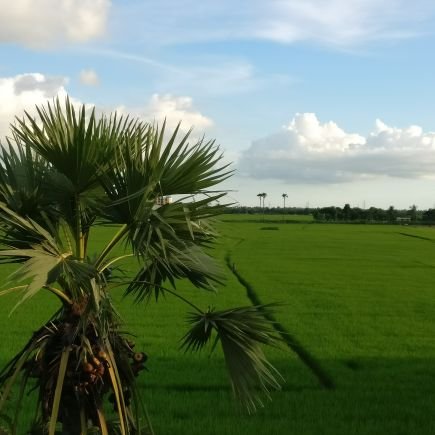 V_Surapaneni's profile picture. Firm believer of  దేశమంటే మట్టి కాదోయ్, దేశమంటే మనుషులోయ్...  nothing else