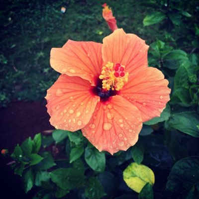 sanshirodkar's profile picture. India | Sports | Languages | Stocks | MFs