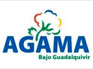 AgamaBajoGuadalquir