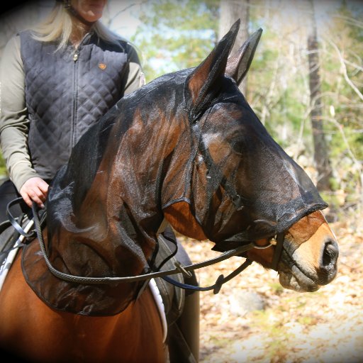 Equus Fly Veils, LLC