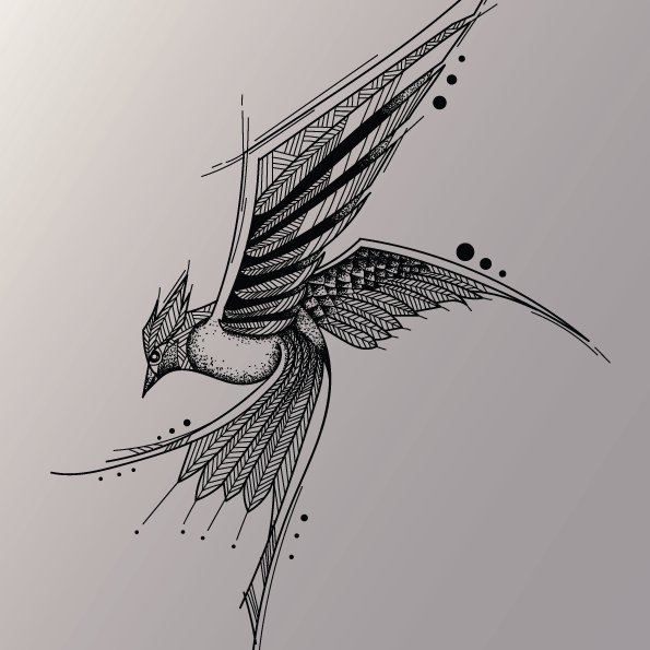 The Blackbird Studio is a team of graphic and multimedia artist which have years of experience in local and international market.