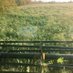 McMac Ranching (@mcmacranching) Twitter profile photo McMac Ranching (@mcmacranching) Twitter profile photo