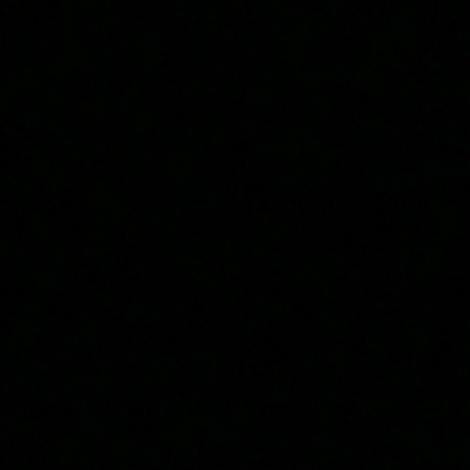 qxllaf's profile picture. 