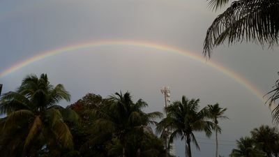 RoseHercules's profile picture. 