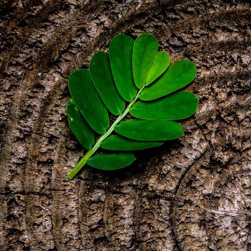 Presto un blog per tutti gli appassionati di mobilità sostenibile, green economy, veicoli elettrici, per rendere il nostro mondo migliore, fin da subito!