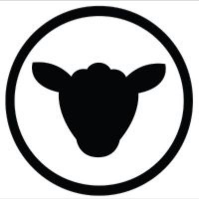 Black_Sheep_Rok Profile Picture