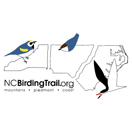 The official twitter account of the NC Birding Trail. We encompass 300+ parks, trails, and forests across the state. #EveryoneIsABirder