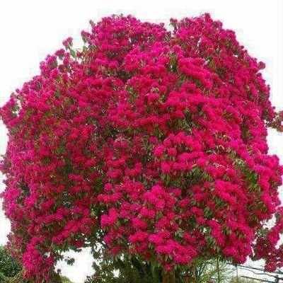 mmsr456's profile picture. 