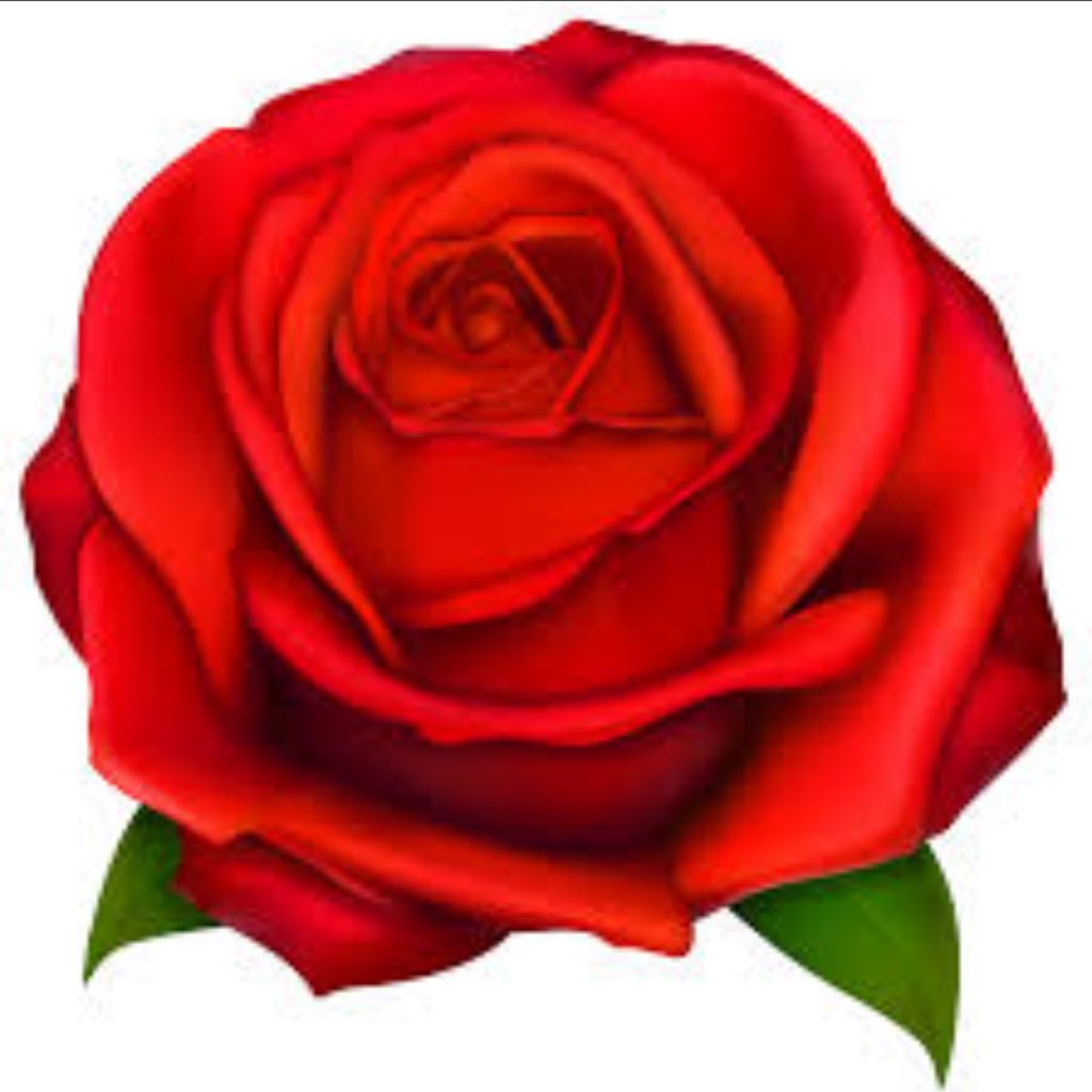 amhsbnb's profile picture. Your favourite Disney fairytale... now LIVE! Join AMHS arts on December 7 & 8 for an enchanted life full of magic and mystery! (P.s: We have a live orchestra😊)