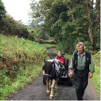 Zoe Maclean (@zoemaclean307) 's Twitter Profile