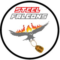 Steel Falcons (@steelfalconsftc) 's Twitter Profile