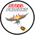 Steel Falcons (@steelfalconsftc) Twitter profile photo
