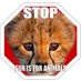 Anti-Fur (@antifursociety) Twitter profile photo Anti-Fur (@antifursociety) Twitter profile photo